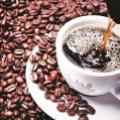 CCL Products surges 8% in weak market; should you buy, hold or sell?
