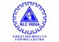 NLC slips 5% as govt OFS opens for non retail investors at ₹303 floor price