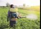 Fertiliser stocks in demand: Chambal, FACT, Aries gain up to 5%; here's why