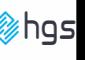 Project GANGA launch sends Hinduja Global Solutions shares 17% higher