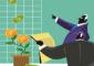 AIFs expect rebound in investor flows as West Asia uncertainty eases