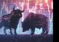Small, midcaps set to steal a march over large-cap peers in H1