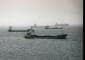 US military facilitates oil shipments through secret Hormuz route: Report