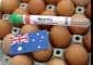 Australia confirms first H5N1 bird flu case in mammal as outbreak spreads