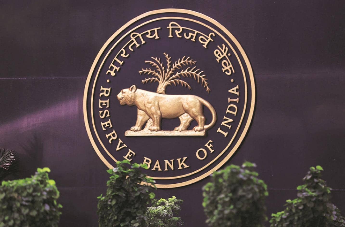 RBI backs MDR on large-value UPI transactions, says users will pay no fee