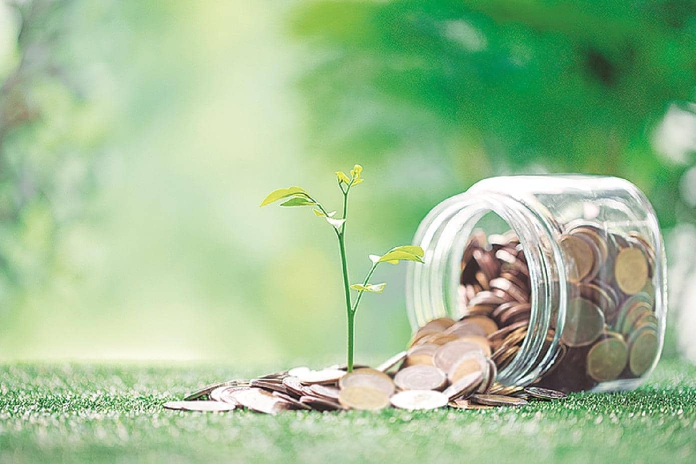 Why investors need to be cautious after run-up in small-cap funds