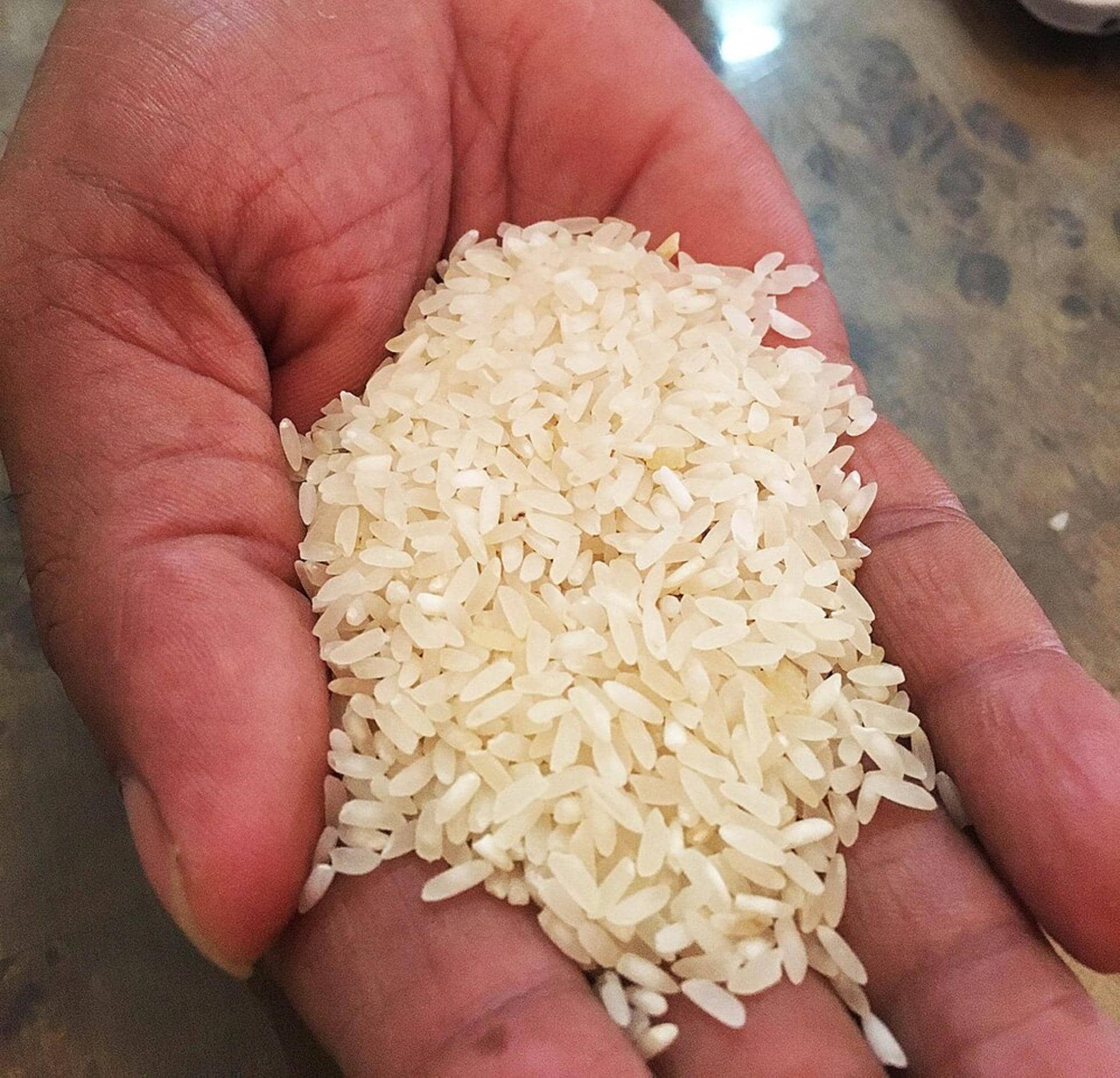 India’s Rice Exports Surge 13% Amid Competitive Pricing and Strong Demand