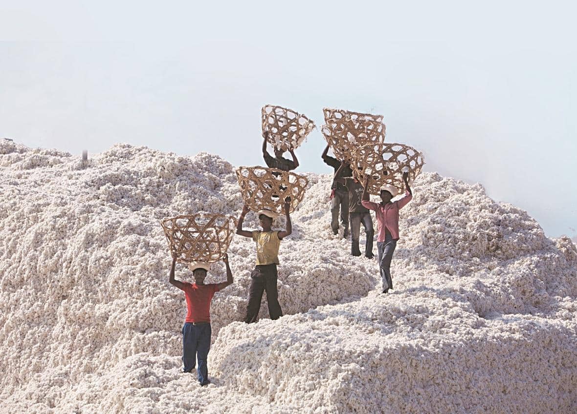 India Likely to Extend Duty-Free Cotton Imports Until December