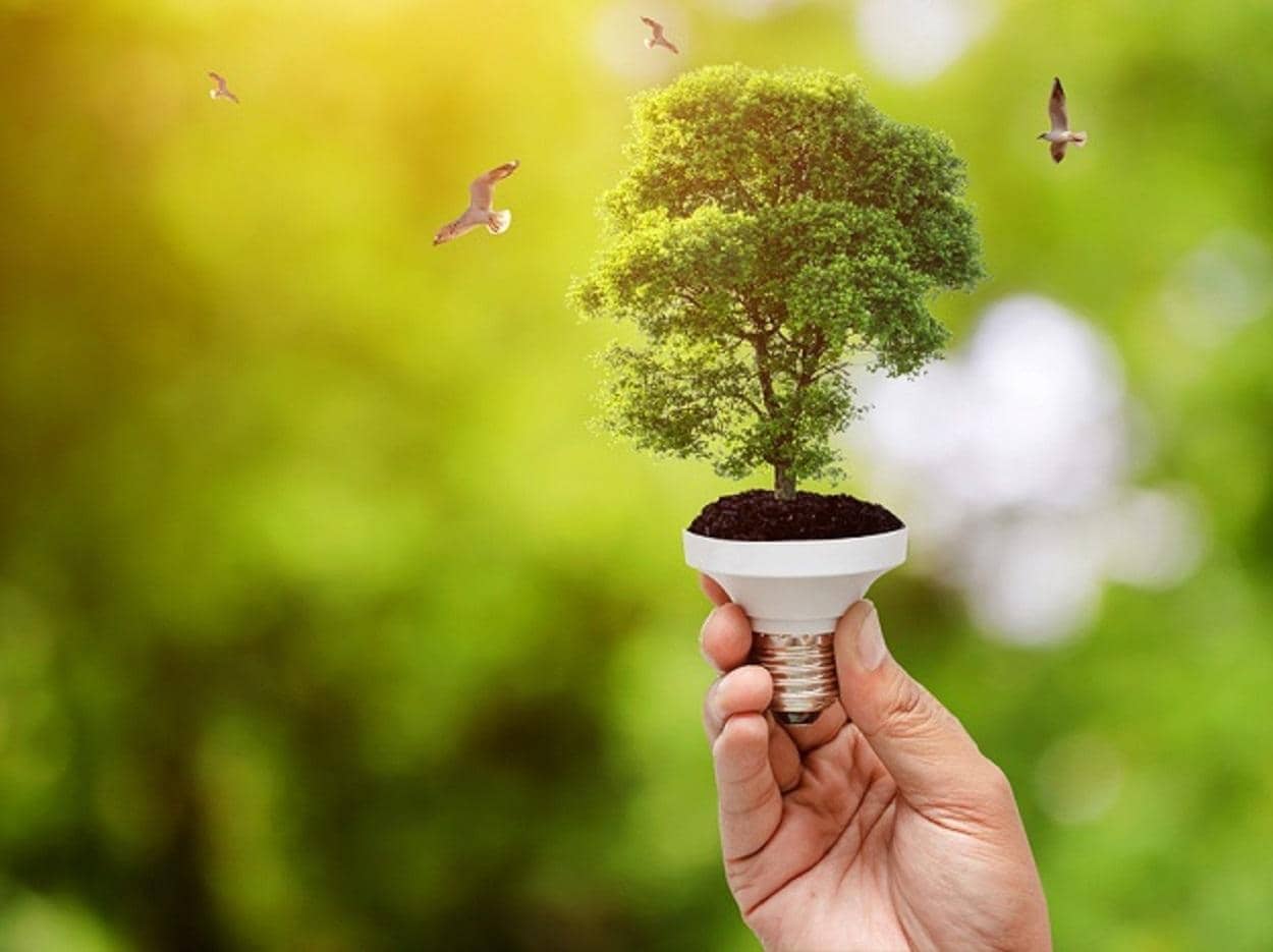 Uttar Pradesh mulls ₹5,500 crore investment in green energy infra
