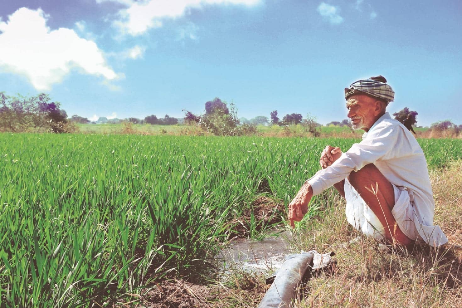 Rajasthan records rainfall deficit of over 20%, worst in 16 years