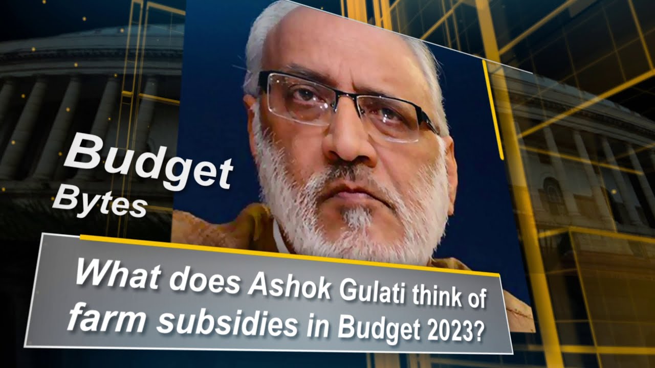 What does Ashok Gulati think of farm subsidies in Budget 2023? Budget