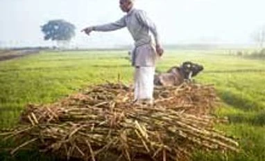 Banks to recast crop loan in flood-hit areas