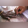 voting