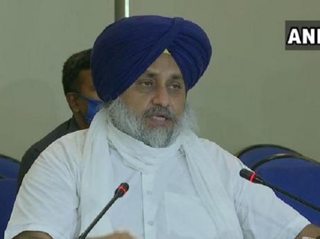 Hooch tragedy: SAD takes out protest march, demands Cong govt's dismissal