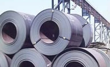 Centre urged to withdraw export duty on pellets