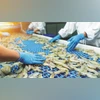 Indian shrimp sector crisis, US tariffs on shrimp exports, shrimp export losses India, $1 billion shrimp loss, vannamei shrimp exports, 50 count shrimp price drop, farm-gate shrimp prices India, Rs 70/kg shrimp price fall, Indian seafood export impac