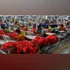Apparel-Exports