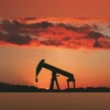 oil sector