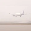 Flights, fog, Indigo
