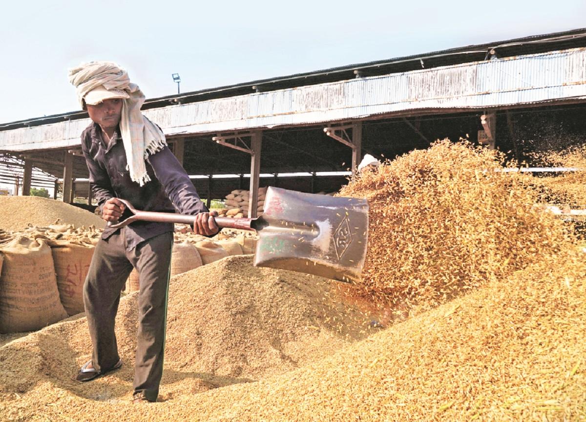 Gold, silver, tea, coffee, oil: Commodity price rally over, say analysts