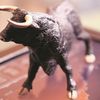 Ongoing bull market phase 'longest and slowest', says Morgan Stanley