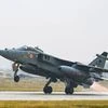 Jaguar aircraft, aircraft, Desert Flag-10