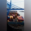 global trade