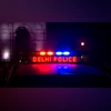 Delhi Police