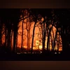Chile_Wildfire