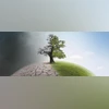 Climate Change, climate plan, Trump tariffs, Ukraine, Russia Ukraine Conflict