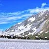 Amarnath yatra, Pilgrims on Amarnath yatra