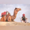 Rajasthan tourism, Desert, tourist