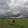 Dark clouds, clouds, Black Clouds, monsoon