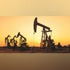 crude oil, oil