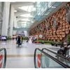 Delhi airport, Airport