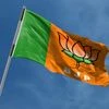 BJP Flag, BJP