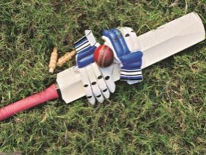 Cricket analyst and former team director of IPL franchise Kolkata Knight Riders Joy Bhattacharya is assured about the salience of the IPL brand