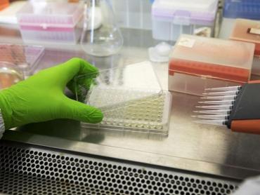 pharma, labs, research, medical, healthcare