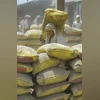 cement, cement sector