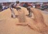 Agriculture, farmers, wheat, procurement, MSP, APMC, commodity