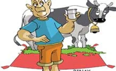 'Mini dairies' to spread white revolution in UP