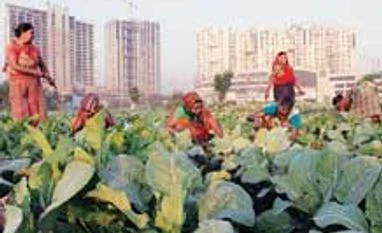 Uttarakhand to launch cluster farming