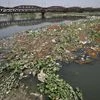 AOL Yamuna event: New panel rejects soil compaction claim of earlier probe
