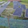 Competition for Rewa mega solar park hots up with 20 in fray