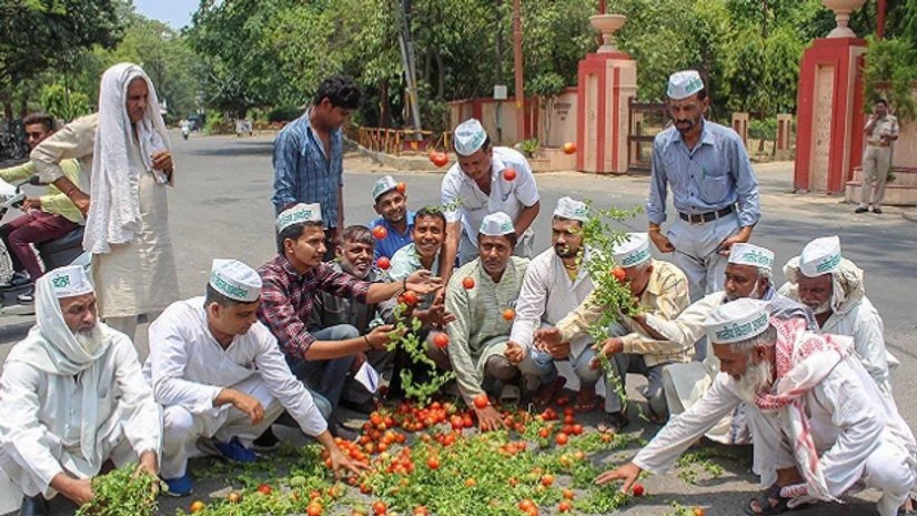 Bharatiya Kisan Andolan activists along with the farmers throw tomatoes on a road during a protest various issues of the farmers including their loan waiver, in Meerut on Sunday, June 03, 2018. Bharatiya Kisan Andolan activists along with the farmers throw tomatoes on a road during a protest various issues of the farmers including their loan waiver, in Meerut on Sunday, June 03, 2018.