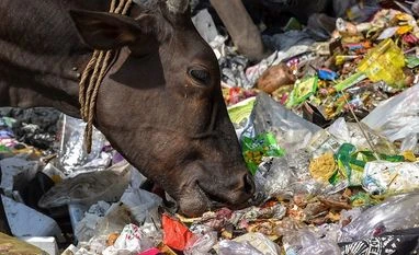 Delhi LG urges to people not to throw garbage directly into Najafgarh Drain World Environment Day, Garbage