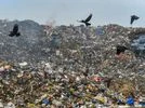Shaheen Bagh residents accuse MCD of discrimination, say garbage mgt poor Shaheen Bagh residents accuse MCD of discrimination, say garbage mgt poor