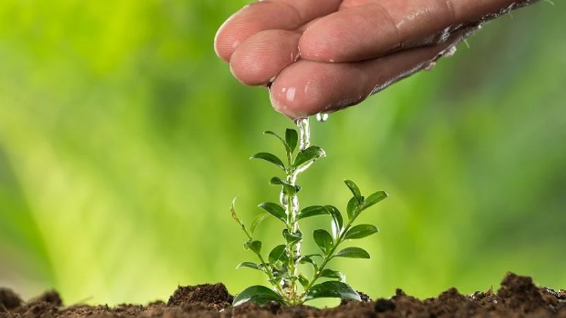 Investment on land Investment on land