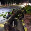 Workers try to clean up an uprooted tree from the street after heavy storm and rain near High Court, in Patna on Saturday.