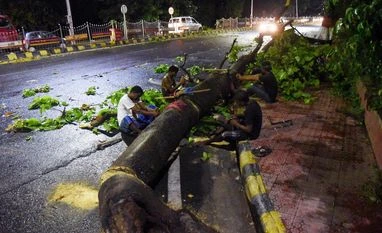 Over 7,000 trees illegally felled, damaged in Delhi in a year, shows data uprooted tree